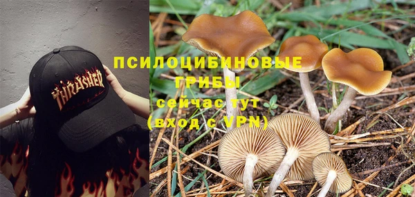 2c-b Аркадак